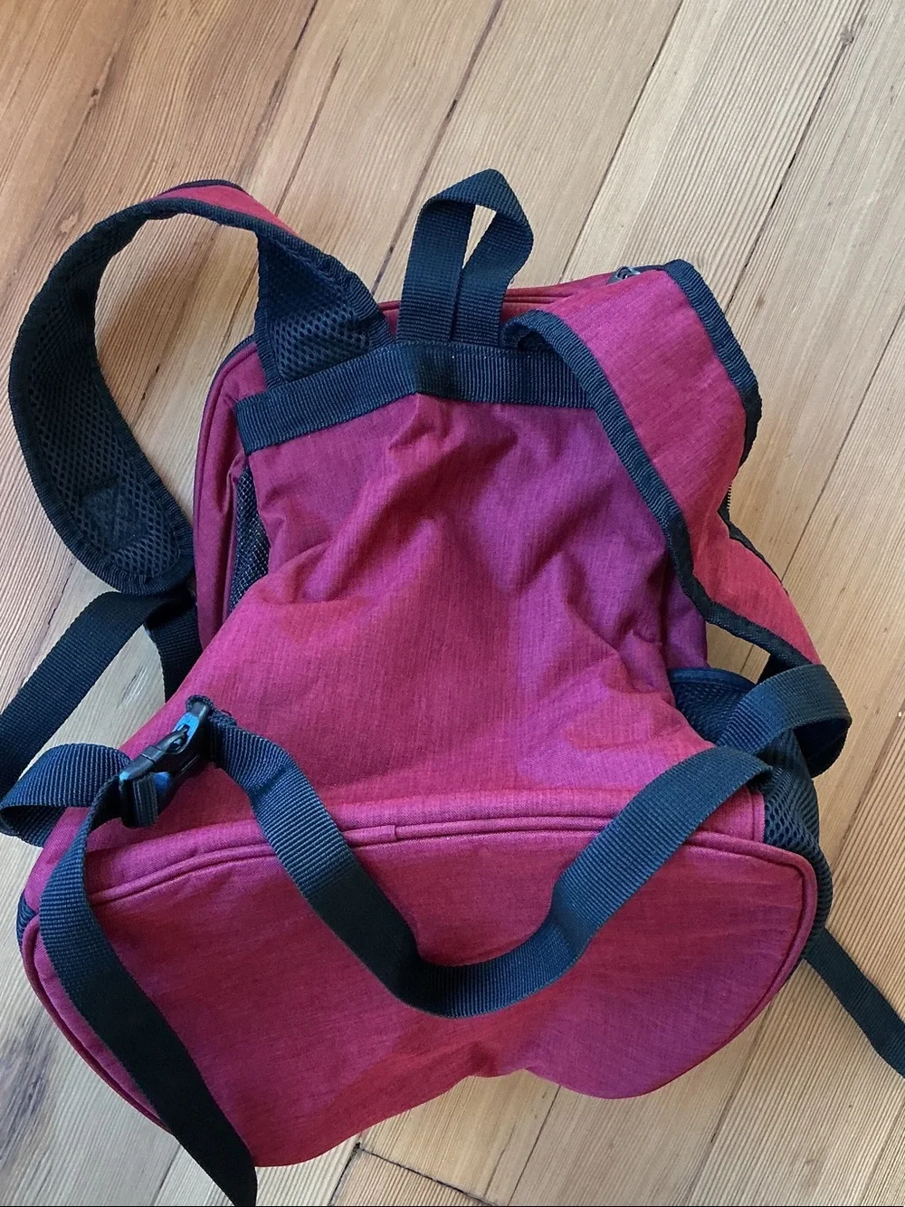 Dog Line comfortable red